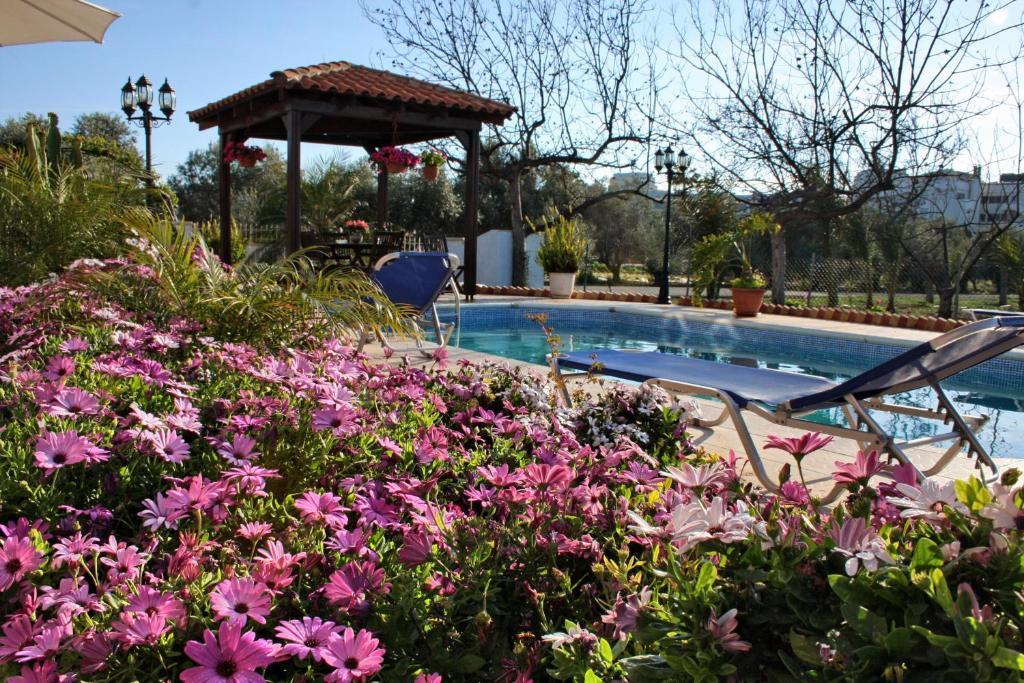 Villa Paradise Πάφος Δωμάτιο φωτογραφία